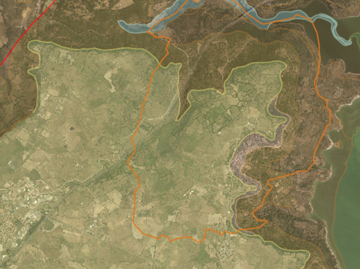 Carta geologica
